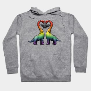 Trans Rights Are Human Rights Brachiosaur Rainbow Hoodie